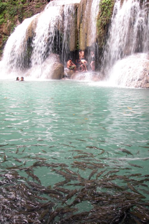 Fish and People at Erawan Waterfall
